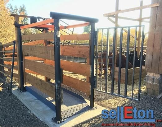 SellEton SL-929 Livestock & Cattle Alleyway Scale - Image 3