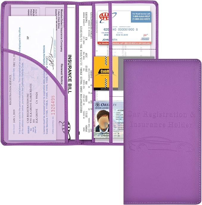 Cacturism Car Registration and Insurance Card Holder, Vehicle Glove Box Car by CACTURISM