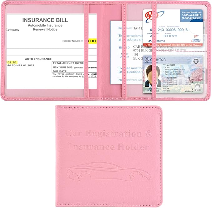 Cacturism Car Registration and Insurance Holder, Vehicle Glove Box Car by CACTURISM