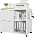 Letaya Mobile File Cabinet, Metal Lateral Rolling Printer Stand Filing Cabinets by LetayaMetalCabinets