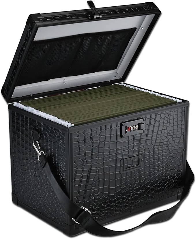 File Storage Cabinet File Organizer Document Organizer File Box in Office and by Unknown