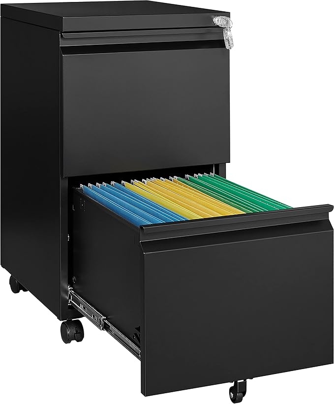 2 Drawer Vertical File Cabinet by Fesbos