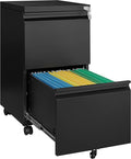 2 Drawer Vertical File Cabinet by Fesbos