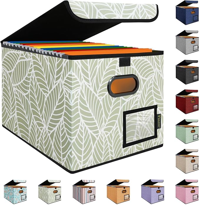 BALEINE File Organizer Box by BALEINE