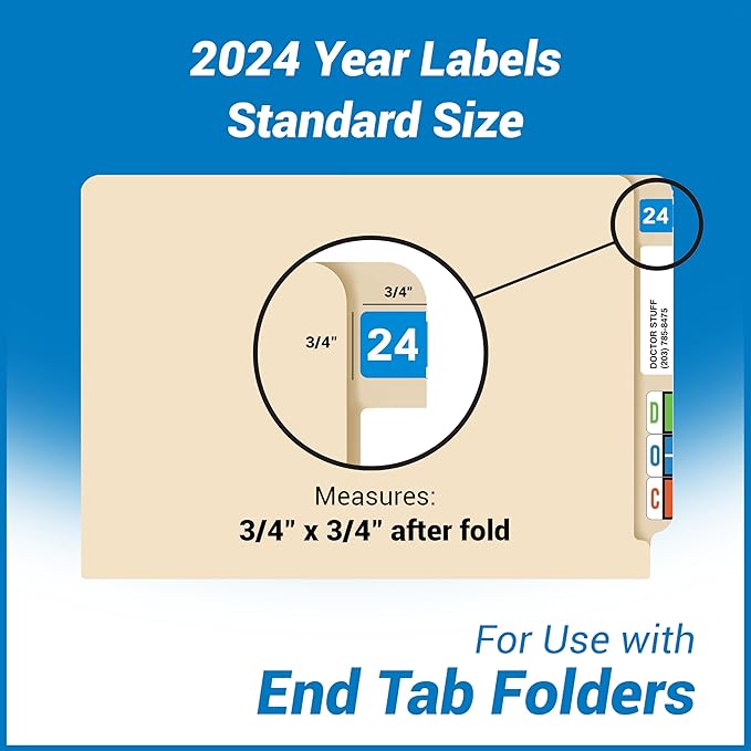 2024 Year Labels, Doctor Stuff 2024 Chart Stickers, Light Blue Color Coded - Image 4