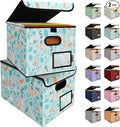 BALEINE File Organizer Box by BALEINE
