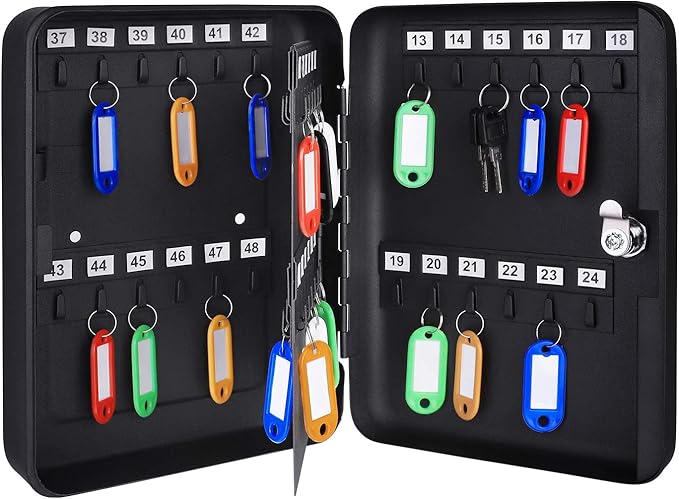 Amazon Basics Locking Steel Cabinet Security Lock Box - Image 4