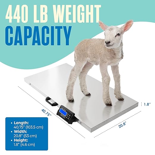 Houseables Dog Scale, Pet Scale, - Image 2
