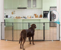 No Pawblems Free Standing Dog Gate by NoPawblems