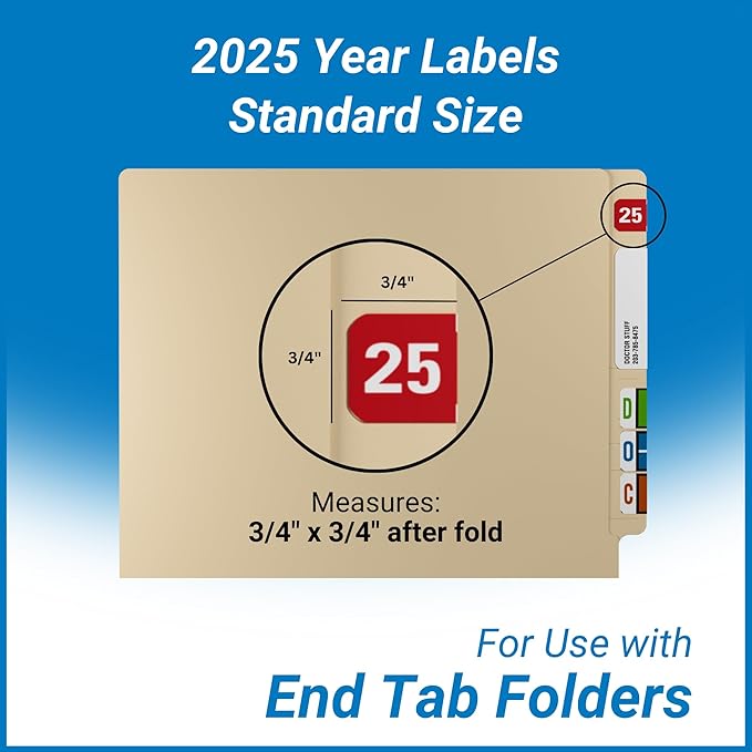 2025 Year Labels, Doctor Stuff 2025 Chart Stickers, Medical Arts Press Style - Image 5