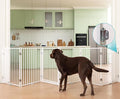 No Pawblems Free Standing Dog Gate by NoPawblems