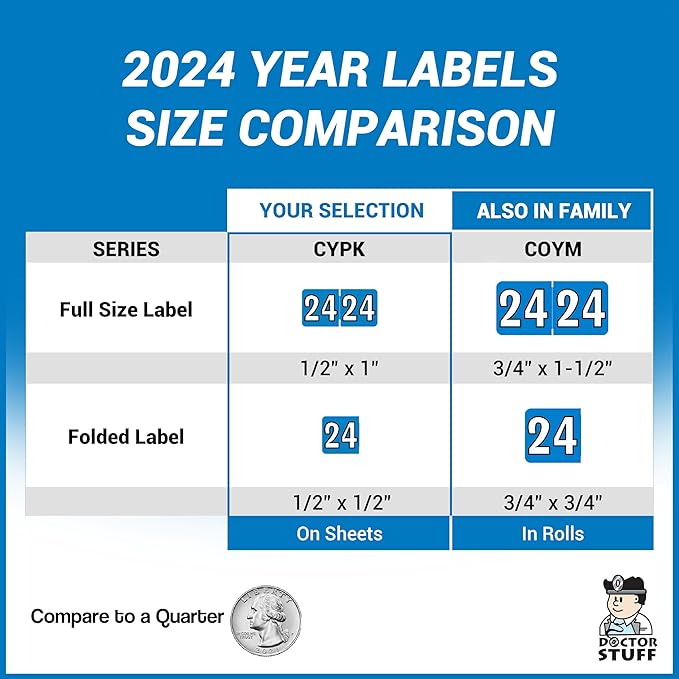 2024 MINI Year Labels, Doctor Stuff 2024 Chart Stickers, Colwell Jewel Tone - Image 8
