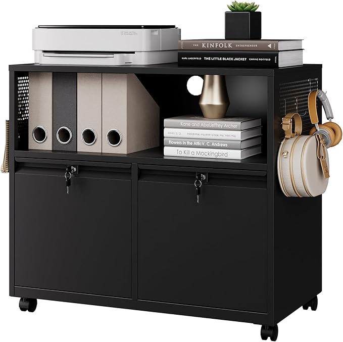 Letaya Mobile 2 Drawer File Cabinet by LetayaMetalCabinets