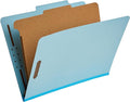 Amazon Basics Classification Folder- 100% Recycled, 1 Divider, 12.20 x 10.61 by AmazonBasics