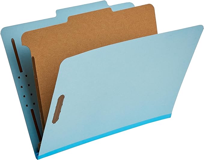 Amazon Basics Classification Folder- 100% Recycled, 1 Divider, 12.20 x 10.61 by AmazonBasics