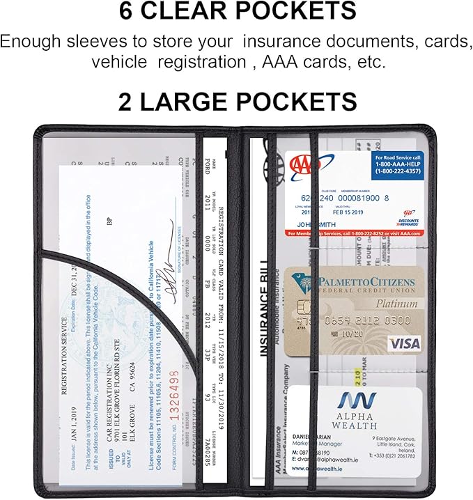 Cacturism Car Registration and Insurance Holder - Image 4