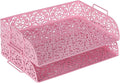 EasyPAG Paper Organizer for Desk 2 Tier Stackable Paper Tray for A4 Legal Size by EasyPAG
