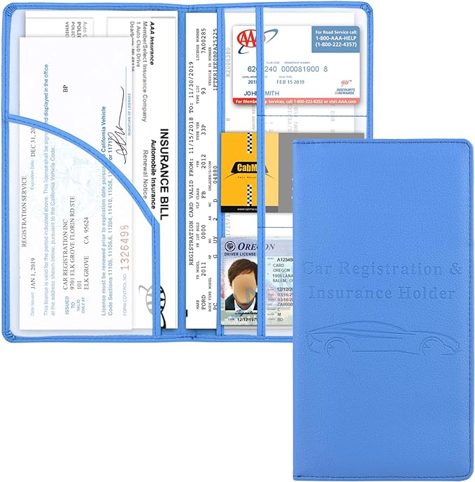 Cacturism Car Registration and Insurance Holder, Vehicle Glove Box Car by CACTURISM