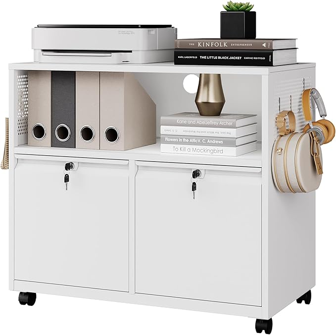 Letaya Mobile 2 Drawer File Cabinet by LetayaMetalCabinets