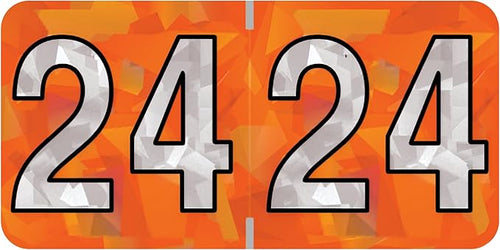 2024 Year Labels, Doctor Stuff 2024 Chart Stickers, Holographic Orange Colored by DoctorStuff