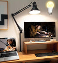 Desk Lamp for Home Office Eye-Caring Metal Extra Tall Swing Arm High Intensity by Hypool