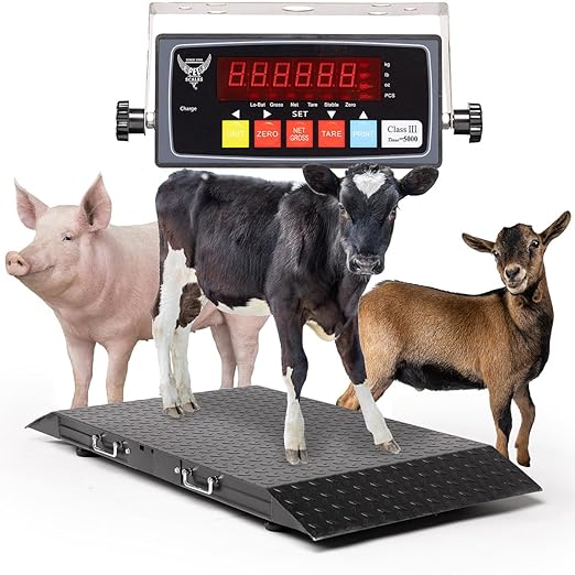 Medium Livestock Scale/Farm Animal Weighing Equipment, Capacity 2000 x 0.2 lb by PECSCALES