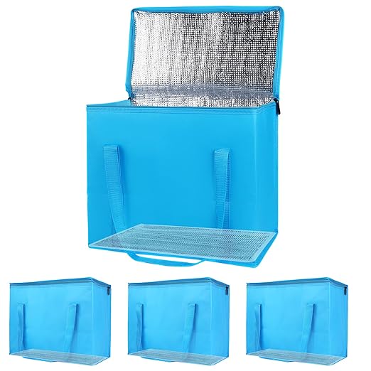 Bodaon 4-Pack Cooler Insulated Food Delivery Bag, X-Large Bags by Bodaon