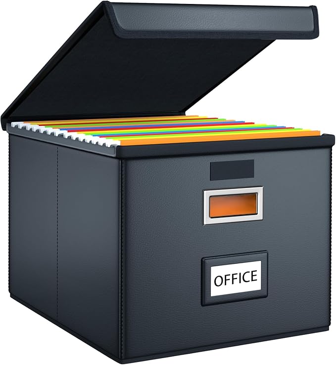 Huolewa File Organizer Box by Huolewa