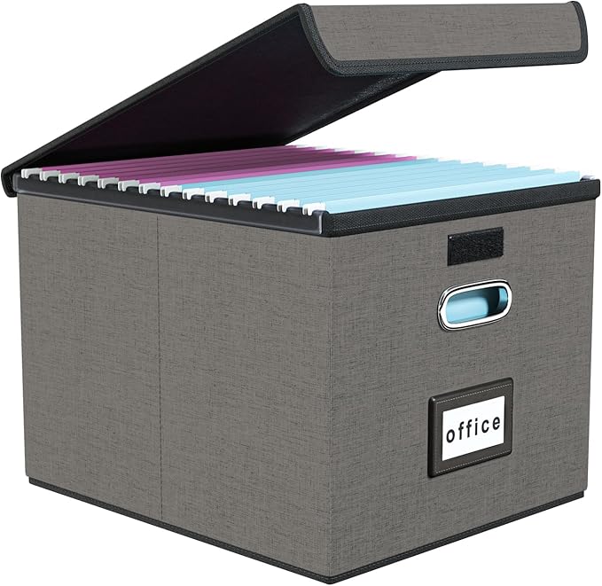 Huolewa File Organizer Box by Huolewa