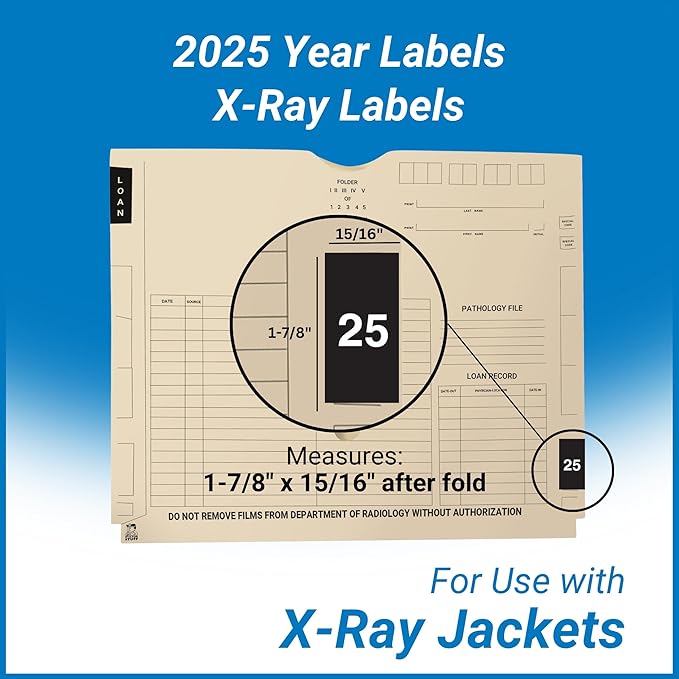 2025 Year Stickers, Doctor Stuff 2025 Chart Stickers, Ames Large Style - Image 5