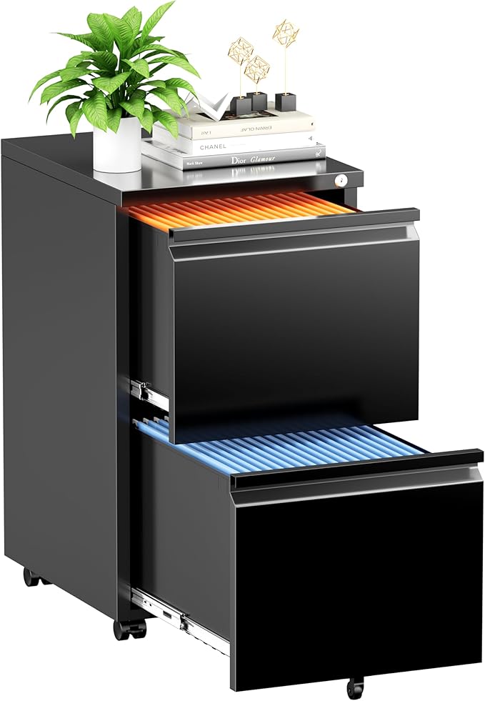 INTERGREAT 2 Drawer File Cabinet, Metal Filling Cabinet by INTERGREAT