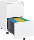 2 Drawer Vertical File Cabinet by Fesbos