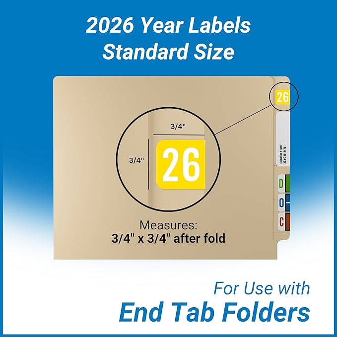 2026 Year Stickers, Doctor Stuff 2026 Chart Stickers, STS/SFI Style, USA Made - Image 3