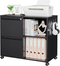 Letaya Mobile File Cabinet, Metal Lateral Rolling Printer Stand Filing Cabinets by LetayaMetalCabinets