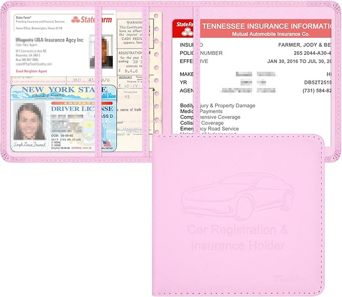 Car Insurance and Registration Holder, 5.5 x 5 Inch PU Leather Vehicle Glove by Techion