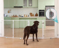 No Pawblems Free Standing Dog Gate by NoPawblems