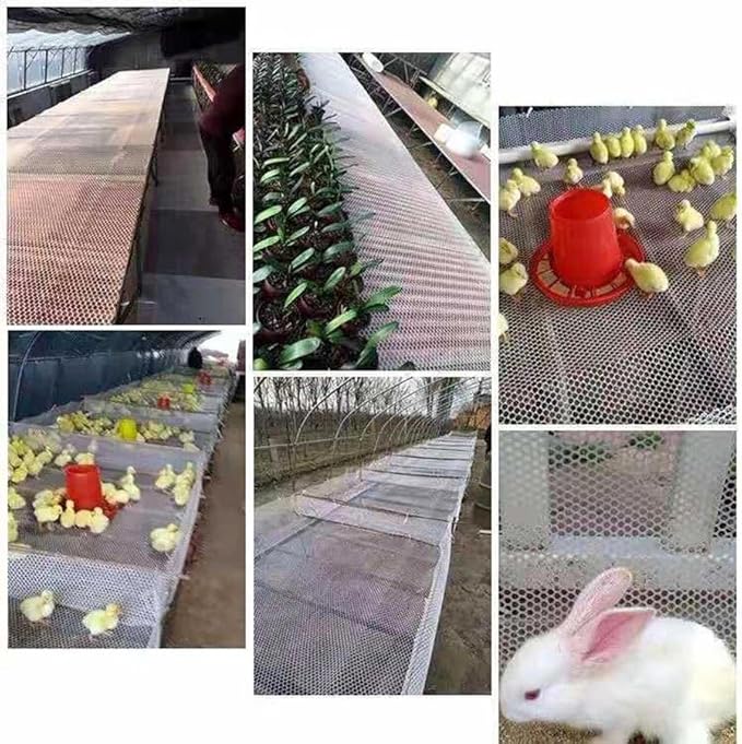 Plastic Wire Mesh Fence, Fencing Chicken Wire Fence - Image 5