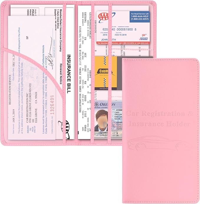 Cacturism Car Registration and Insurance Holder, Car Accessories Vehicle Glove by CACTURISM