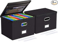 Oterri 2 Pack Large File Organizer Boxes by Oterri