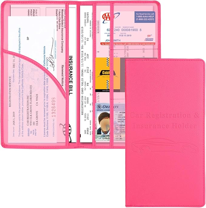 Cacturism Car Registration and Insurance Holder, Car Accessories Vehicle Glove by CACTURISM