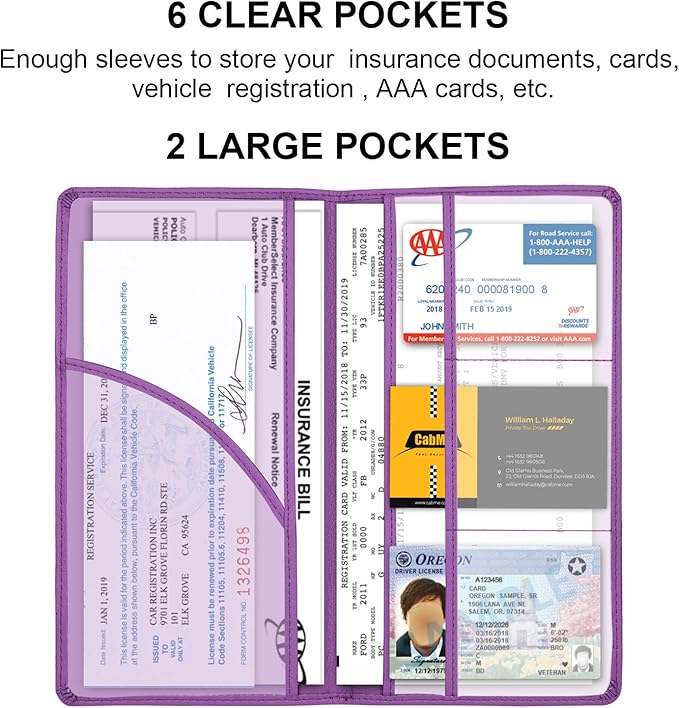 Cacturism Car Registration and Insurance Card Holder, Vehicle Glove Box Car - Image 5