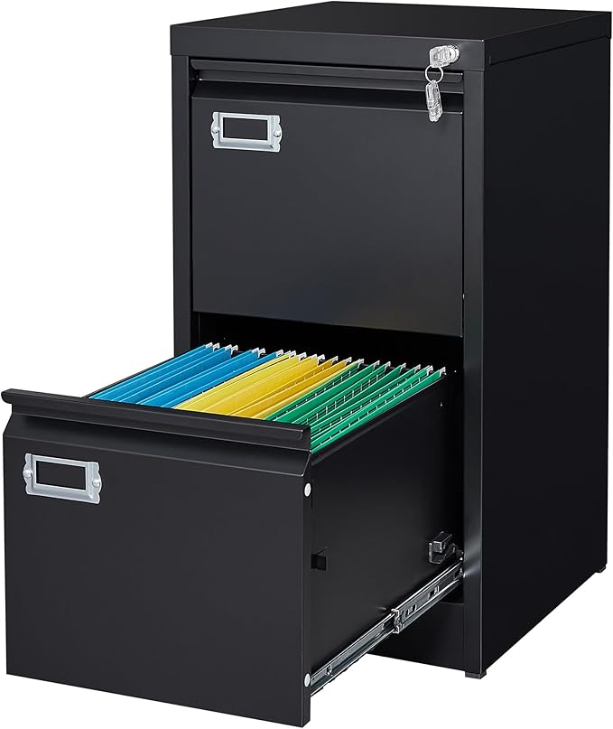 Letaya 2 Drawer File Cabinet by LetayaMetalCabinets