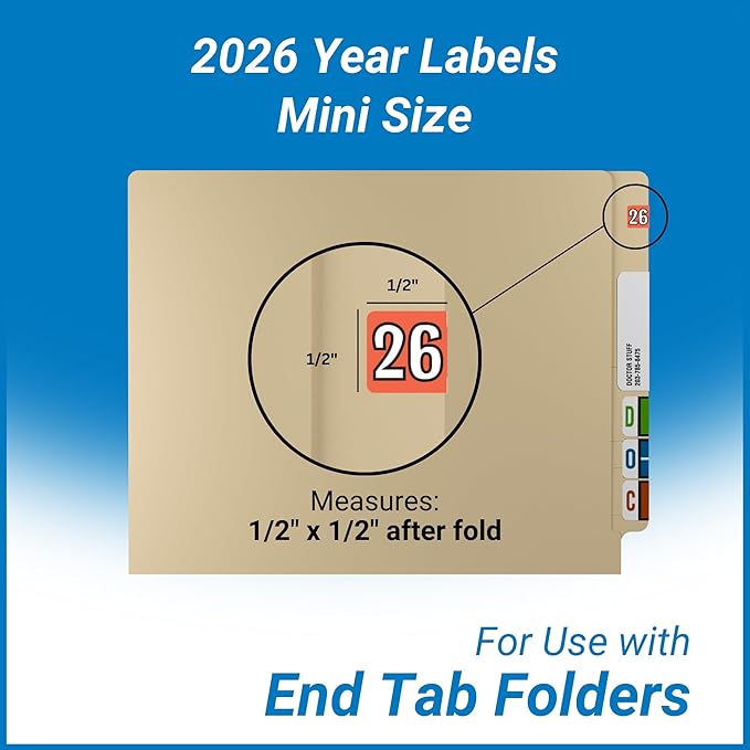 MINI 2026 Year Labels, Doctor Stuff 2026 Chart Stickers, Colwell Jewel Tone - Image 6