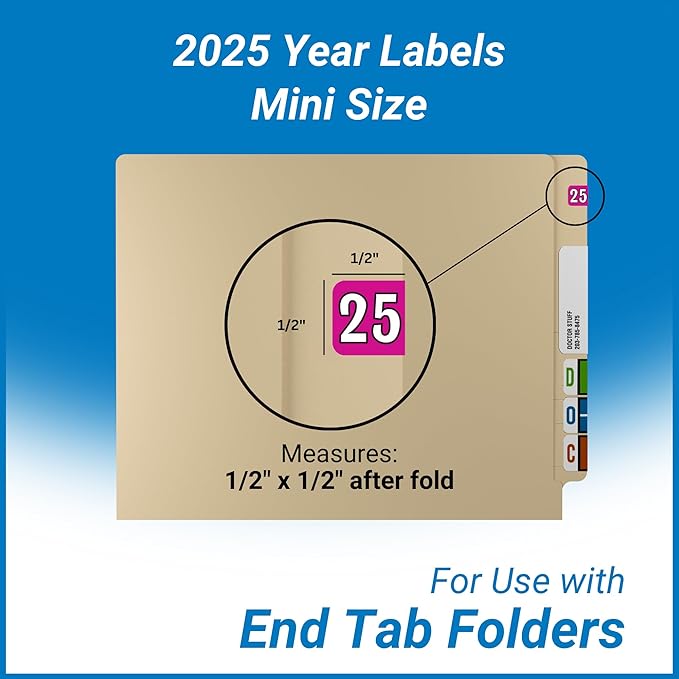 MINI 2025 Year Labels, Doctor Stuff 2025 Chart Stickers, Fuchsia Color Coded - Image 5