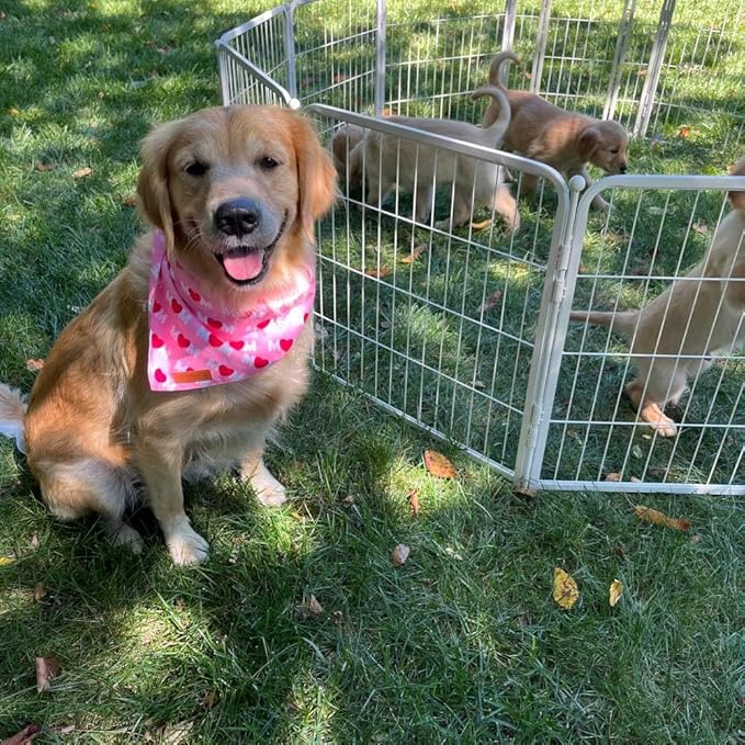 FXW Garden Fence Outdoor for The Yard – 40in x 36.4ft Heavy Duty Metal Animal - Image 3
