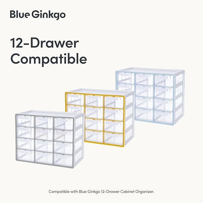 BLUE GINKGO 12 Dividers - Image 4