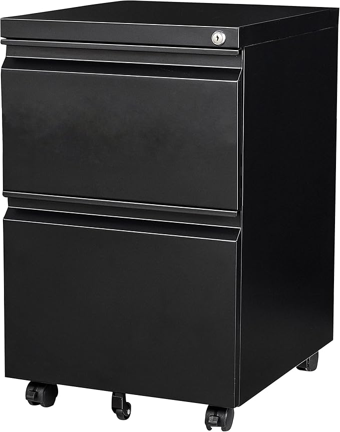 SISESOL 2 Drawer File Cabinet on Wheels, Metal Filing Cabinet by SISESOL