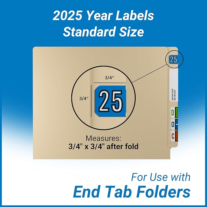 2025 Year Stickers, Doctor Stuff 2025 Chart Stickers, Barkley FYBAM Style - Image 5