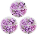 Purple Paper Clips and Binder Clips Set, Metal Assorted Sized Binders by CREECHWA