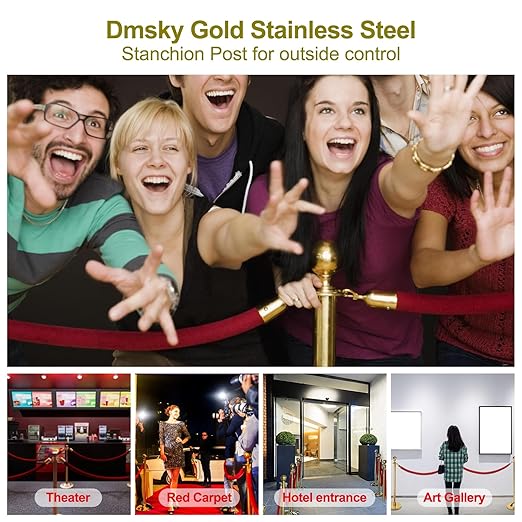 Stainless Steel Stanchion Post Queue 5 ft Red Velvet Rope Red Carpet Ropes and - Image 6